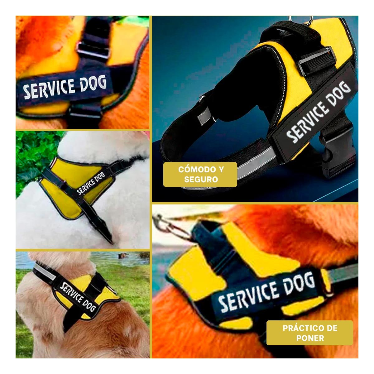 PECHERA PERROS MA30984 RYBIU SERVICE EN AMARILLO XXL - 5