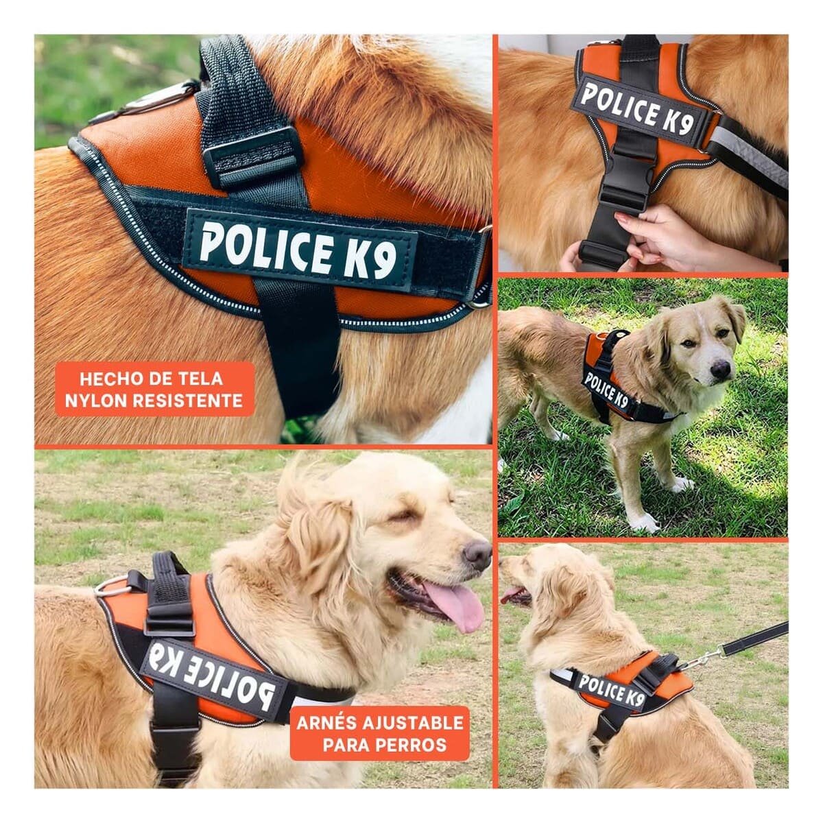 PECHERA PERROS MA30986 RYBIU SERVICE EN ANARANJADO XXL - 5