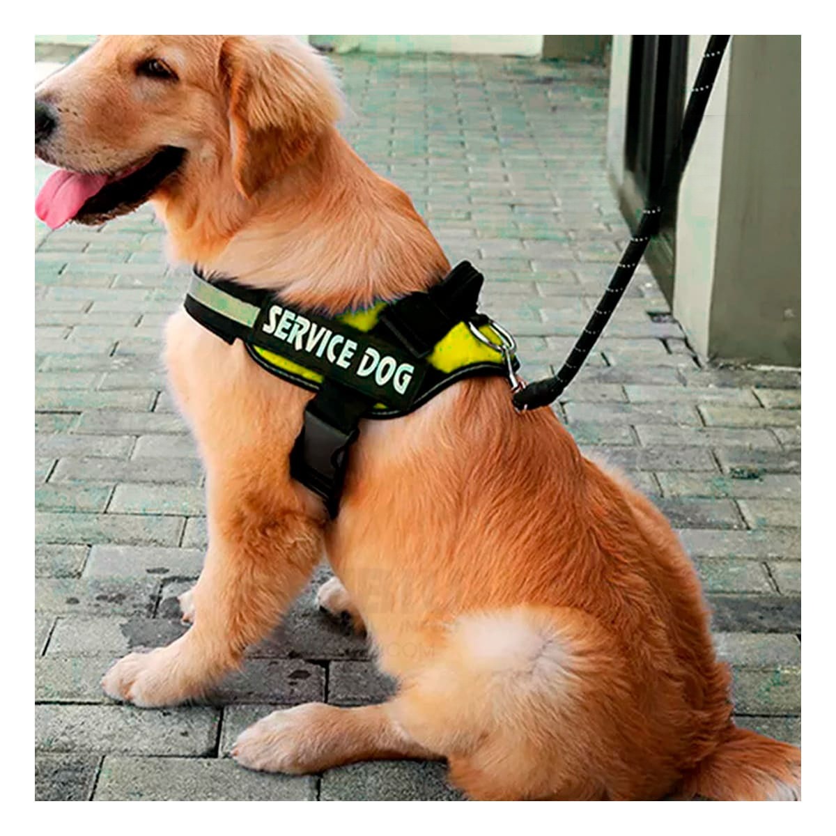 PECHERA PERROS MA30984 RYBIU FACIL DE PONER EN AMARILLO XXL Y+AGENDITA - 2