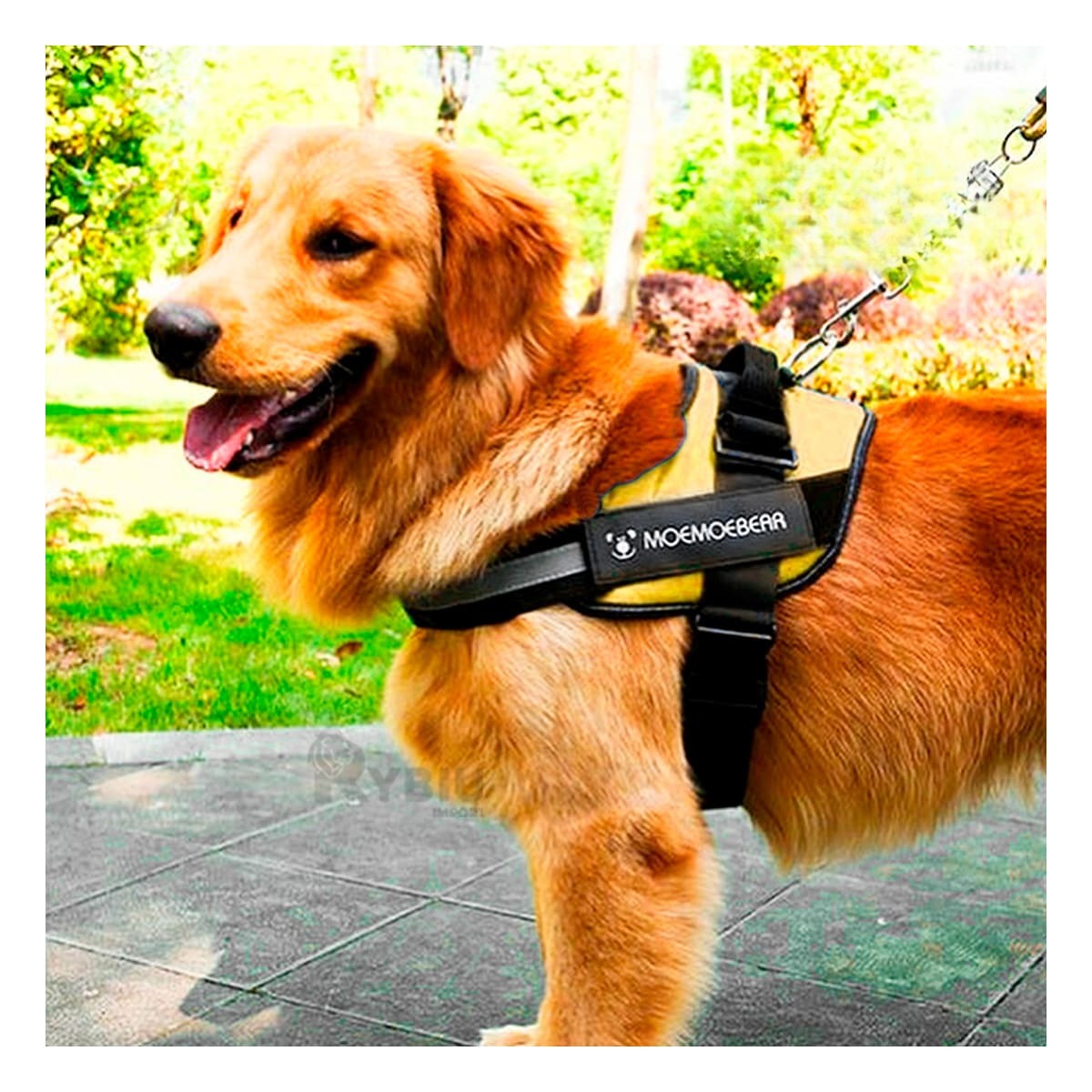 PECHERA PERROS MA30984 RYBIU FACIL DE PONER EN AMARILLO XXL Y+AGENDITA - 4