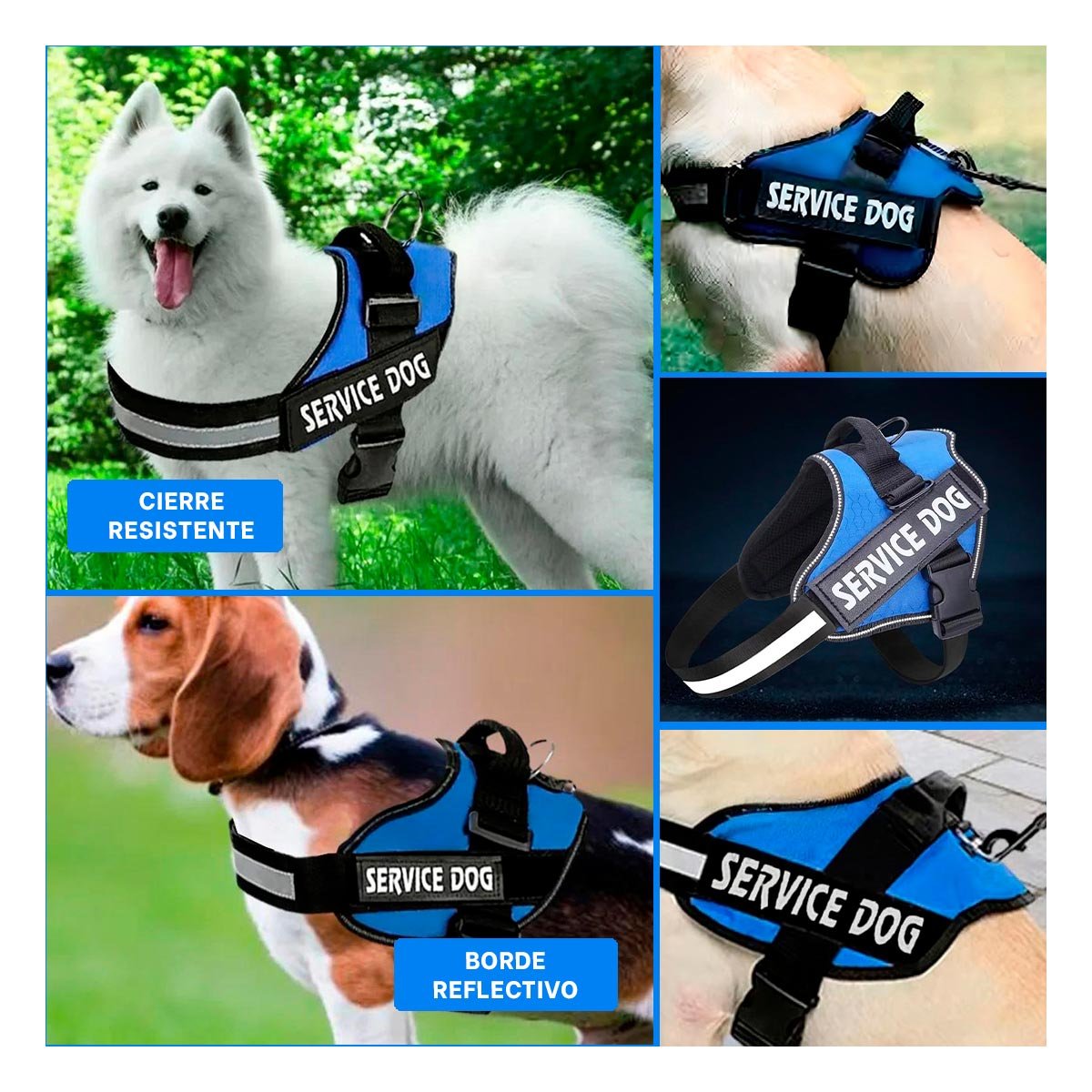 PECHERA PERROS MA30985 RYBIU GRANDE SERVICE EN AZUL XXL - 5
