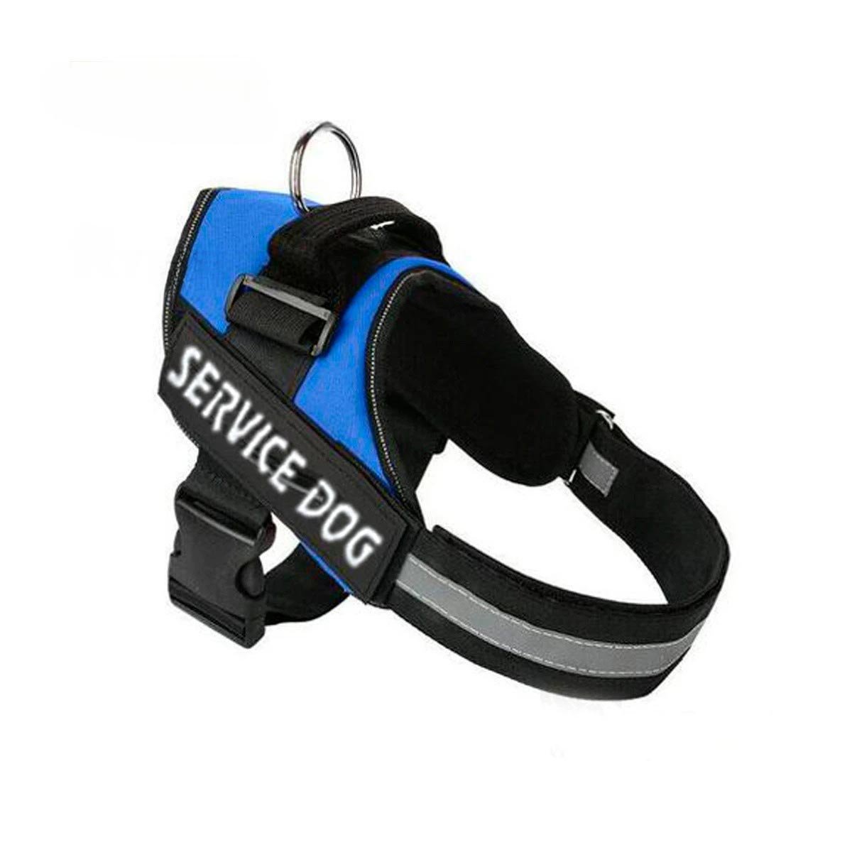 PECHERA PERROS MA30985 RYBIU PROTECCION DOG EN AZUL XXL Y+STICKERS - 3