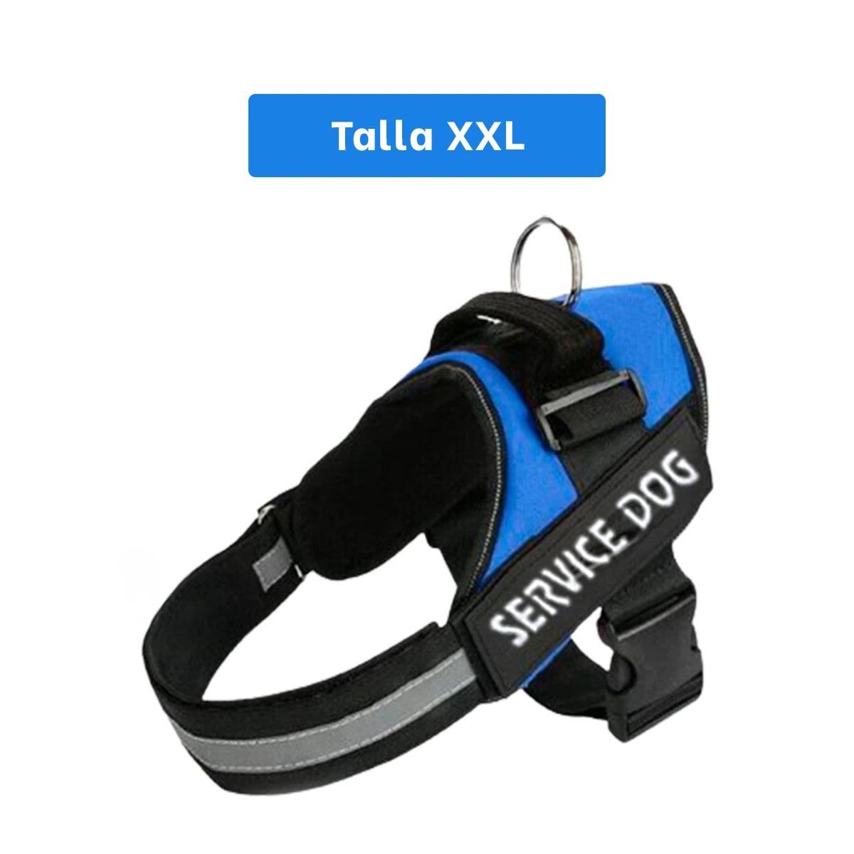 PECHERA PERROS MA30985 RYBIU PROTECCION DOG EN AZUL XXL Y+STICKERS - 4