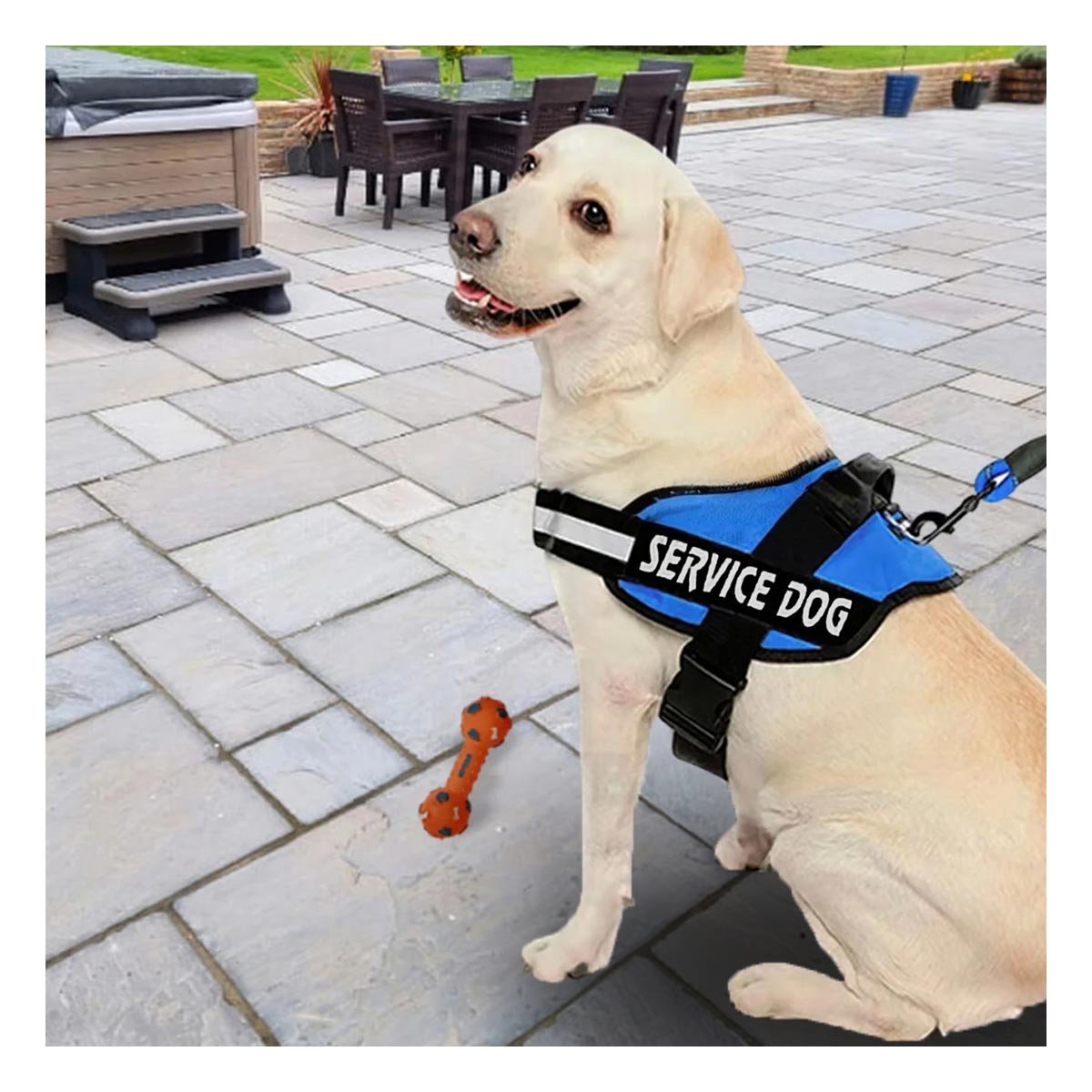 PECHERA PERROS MA30985 RYBIU PROTECCION DOG EN AZUL XXL Y+STICKERS - 5
