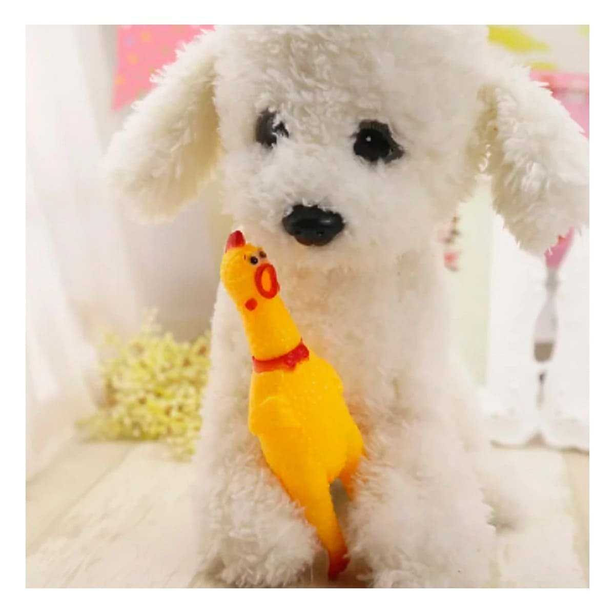 REGALO POLLO SONORO PARA PERRO TALLA S AMARILLO RESISTENTE DURABLE PET - 2