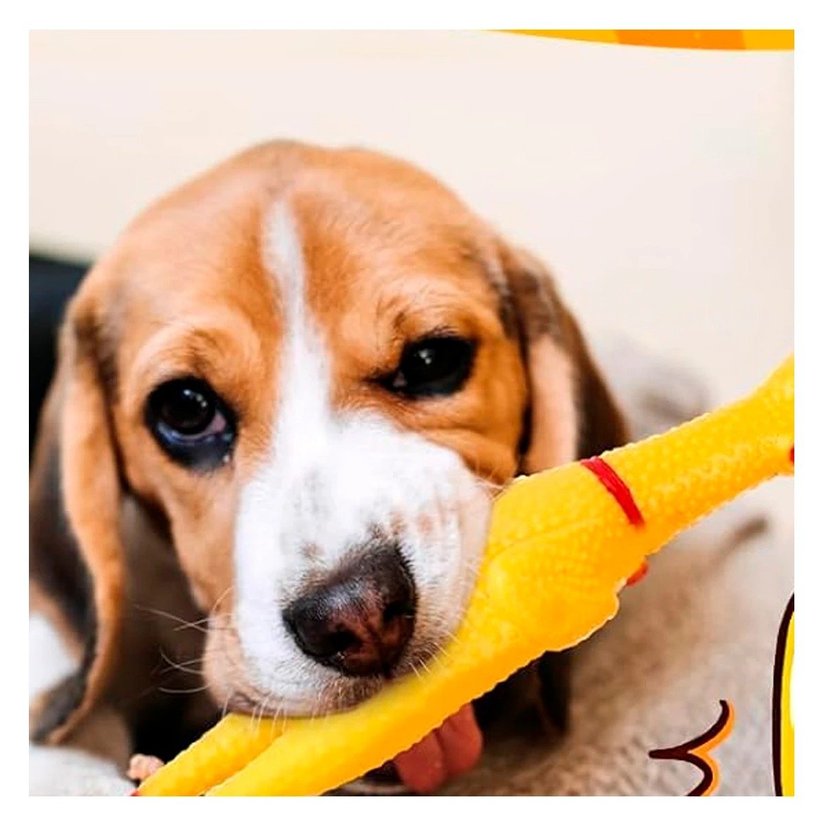 JUGUETE POLLO CHILLON AMARILLO TALLA M PARA PERRO MASCOTA HOGAR CANINOO - 2