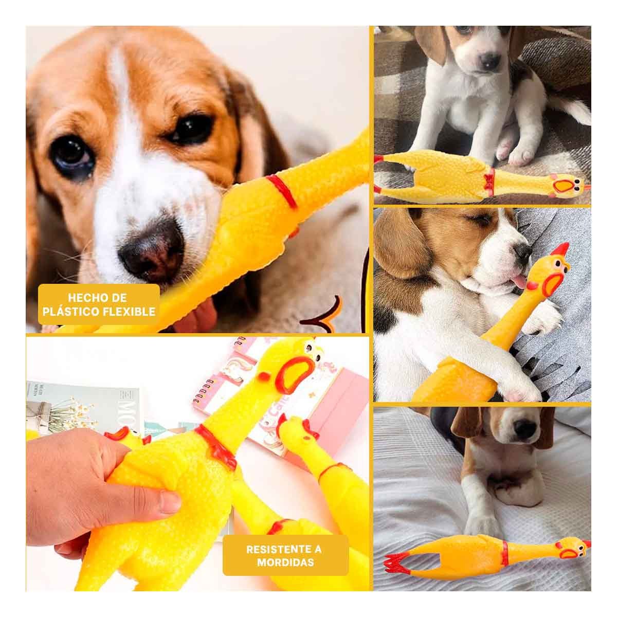 JUGUETE POLLO CHILLON AMARILLO TALLA M PARA PERRO MASCOTA HOGAR CANINOO - 5
