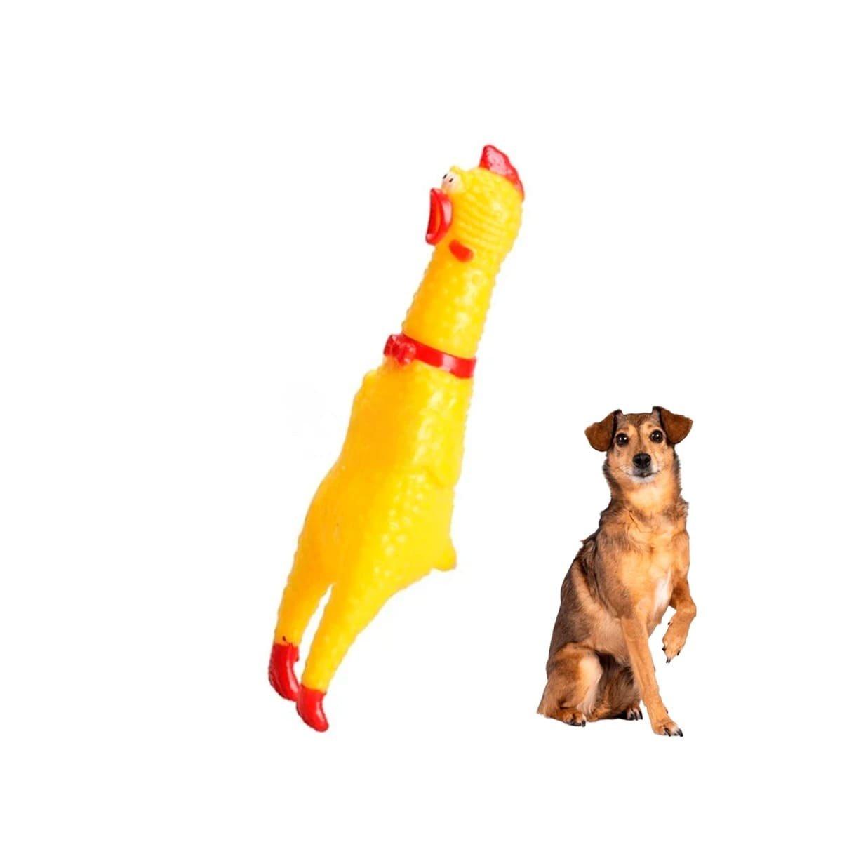 NOVEDAD POLLO SONORO PARA PERRO TALLA S AMARILLO RESISTENTE DURABLE PET Y+REGALO STICKER - 3