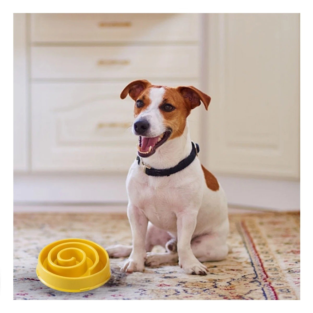 PLATO PERRO MA31302 ANTIESTRÉS ESPIRAL MASCOTA COLOR AMARILLO RYBIU - 2