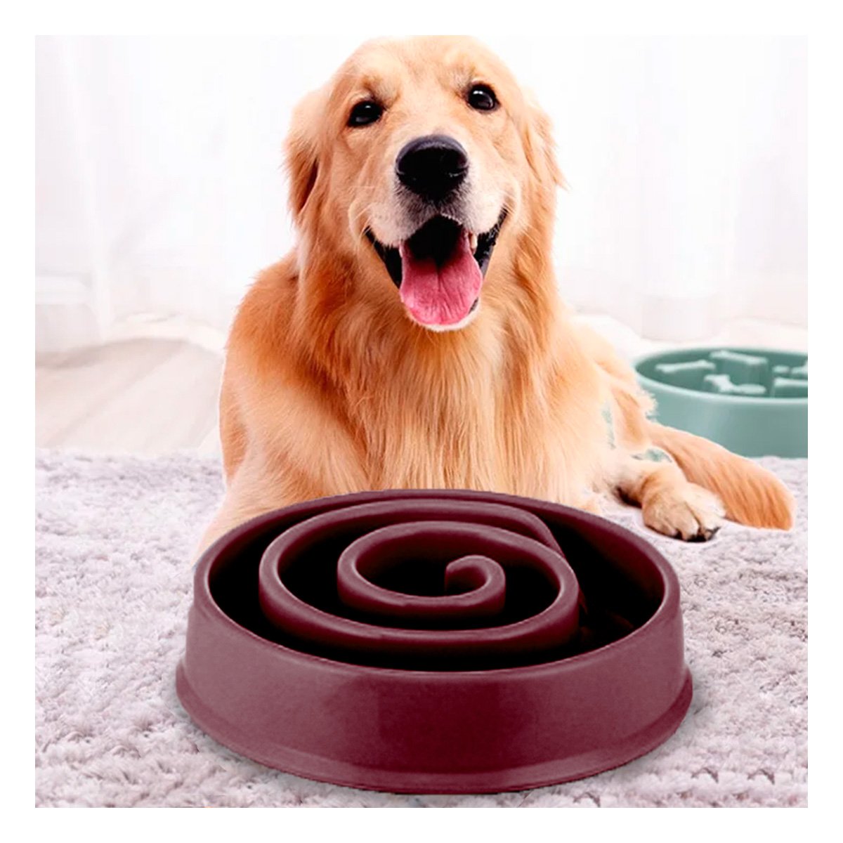 PLATO PERRO MA31301 ANTIESTRÉS ESPIRAL MASCOTA COLOR GUINDA RYBIU - 1