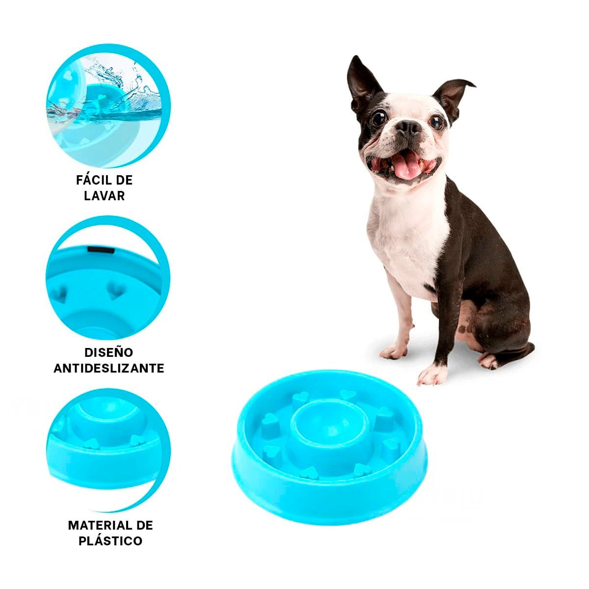 PLATO PERRO Y GATO MA31304 ANTIESTRÉS CIRCULAR MASCOTA COLOR CELESTE RYBIU - 3