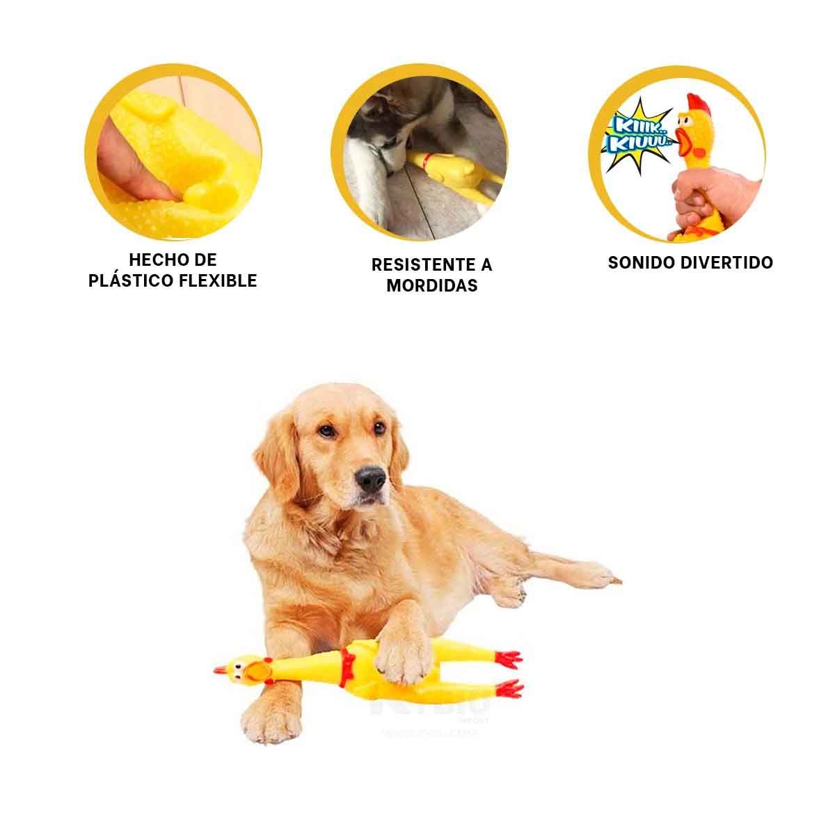 MODELO POLLO SONORO AMARILLO TALLA L PARA PERRO ACTIVO - 3