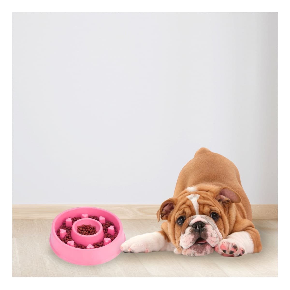 PLATO PERRO Y GATO MA31305 ANTIESTRÉS CIRCULAR MASCOTA COLOR ROSADO RYBIU - 1