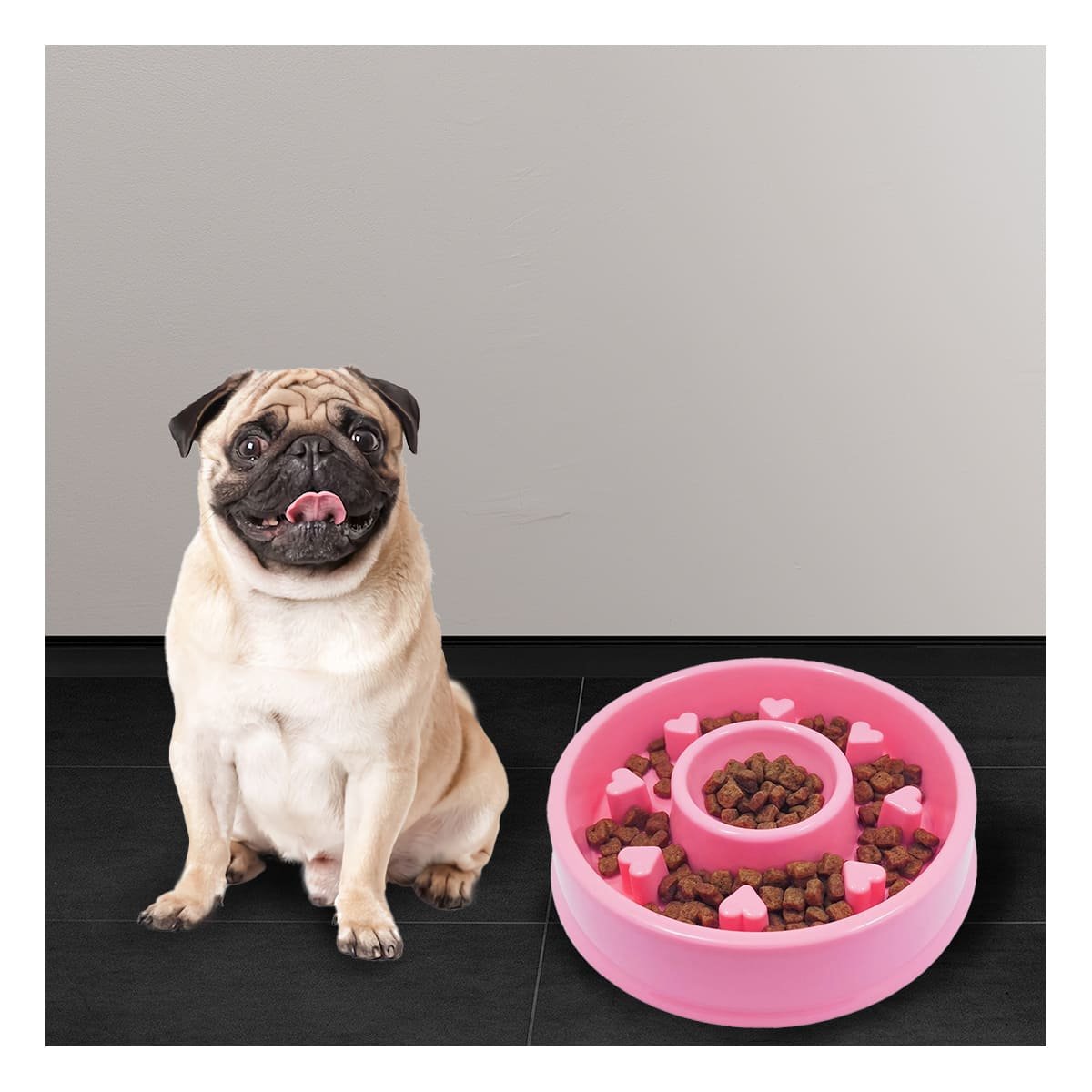 PLATO PERRO Y GATO MA31305 ANTIESTRÉS CIRCULAR MASCOTA COLOR ROSADO RYBIU - 2