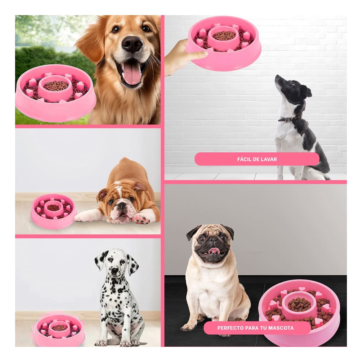 PLATO PERRO Y GATO MA31305 ANTIESTRÉS CIRCULAR MASCOTA COLOR ROSADO RYBIU - 5