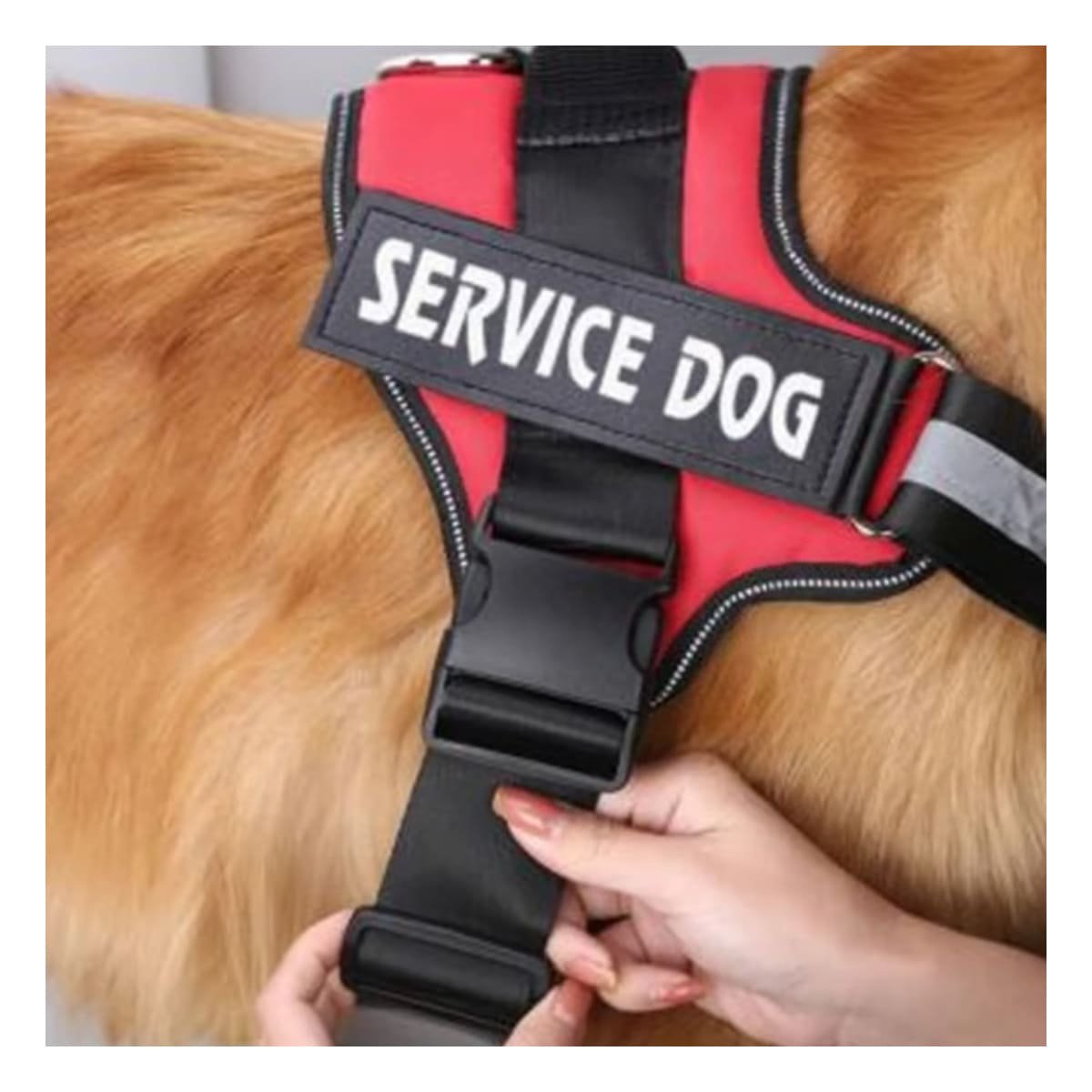 ARNÉS PERROS MA30963 RYBIU FACIL Y SENCILLO DE LAVAR EN TONO ROJO Y+STICKERS - 5