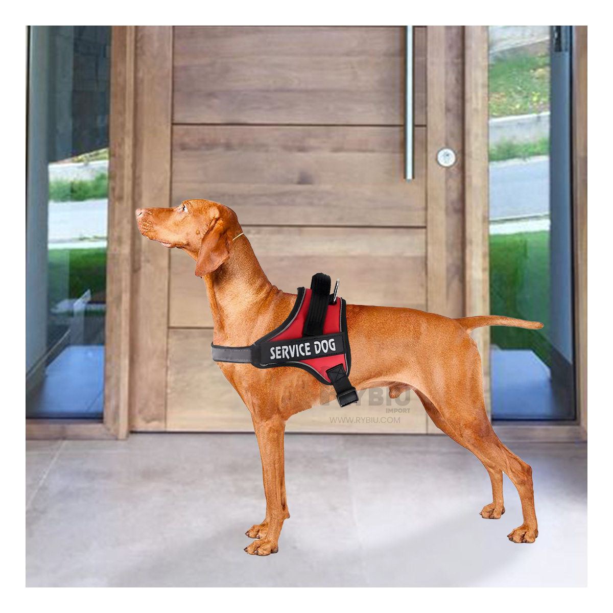 ARNÉS PERROS MA30963 RYBIU CONFIABLE Y ADAPTABLE EN ROJO Y+AGENDITA - 1