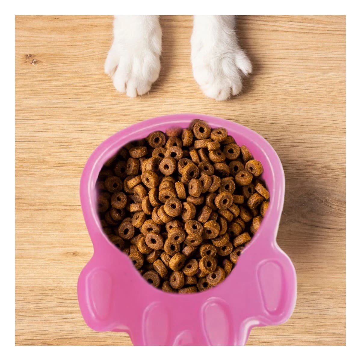 PLATO PERRO Y GATO MA31317 MASCOTA FORMA HUESO PEQUEÑO COLOR ROSADO RYBIU - 2