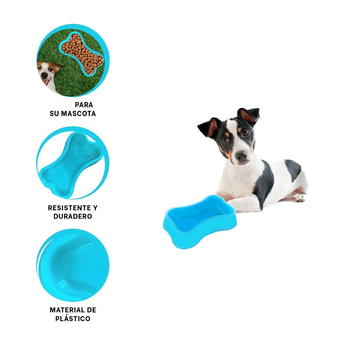 PLATO PERRO Y GATO MA31321 MASCOTA FORMA HUESO PEQUEÑO COLOR CELESTE RYBIU - 3