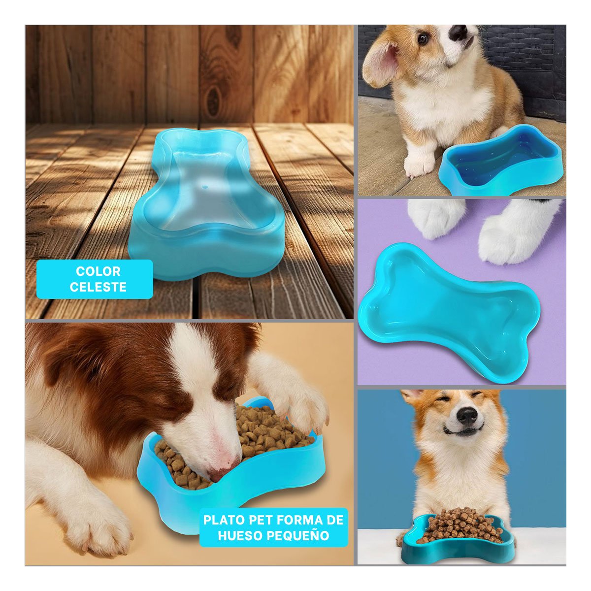 PLATO PERRO Y GATO MA31321 MASCOTA FORMA HUESO PEQUEÑO COLOR CELESTE RYBIU - 5