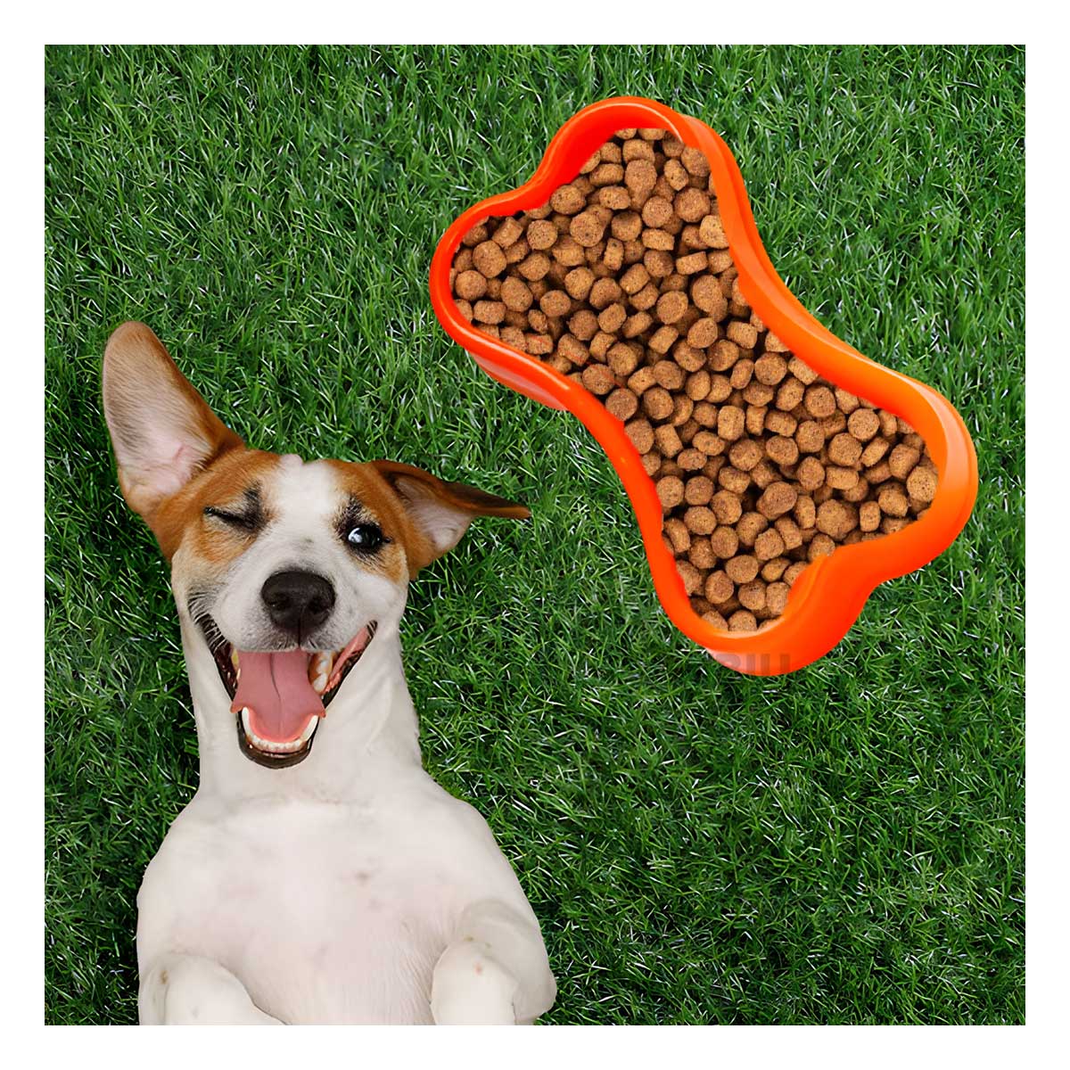 PLATO PERRO Y GATO MA31319 MASCOTA FORMA HUESO PEQUEÑO ANARANJADO RYBIU - 2