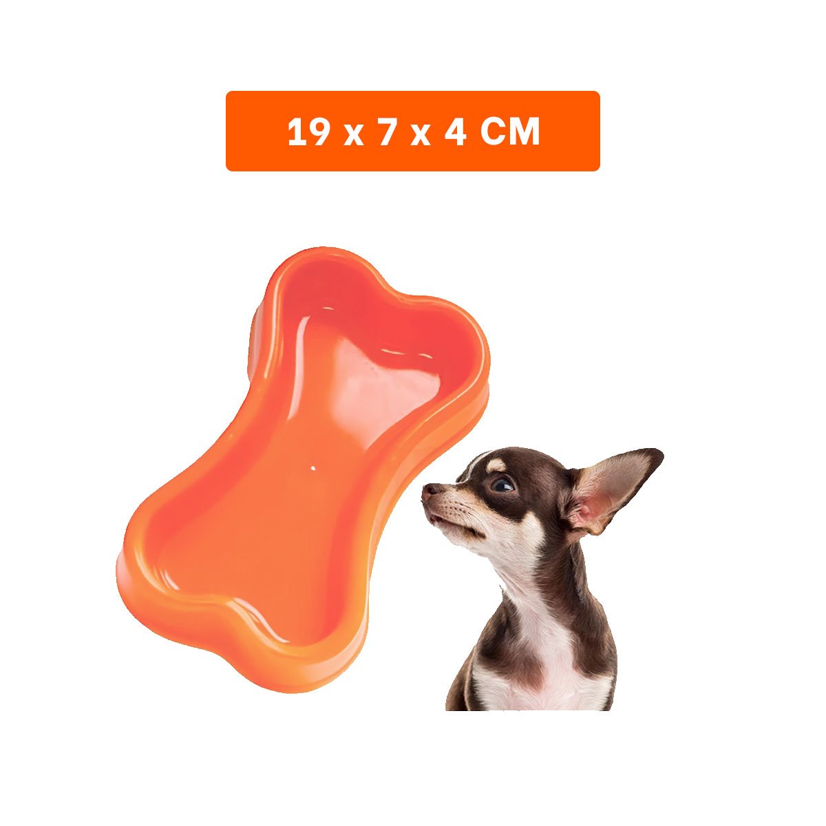 PLATO PERRO Y GATO MA31319 DISEÑO COLOR ANARANJADO Y STICKERS RYBIU - 4