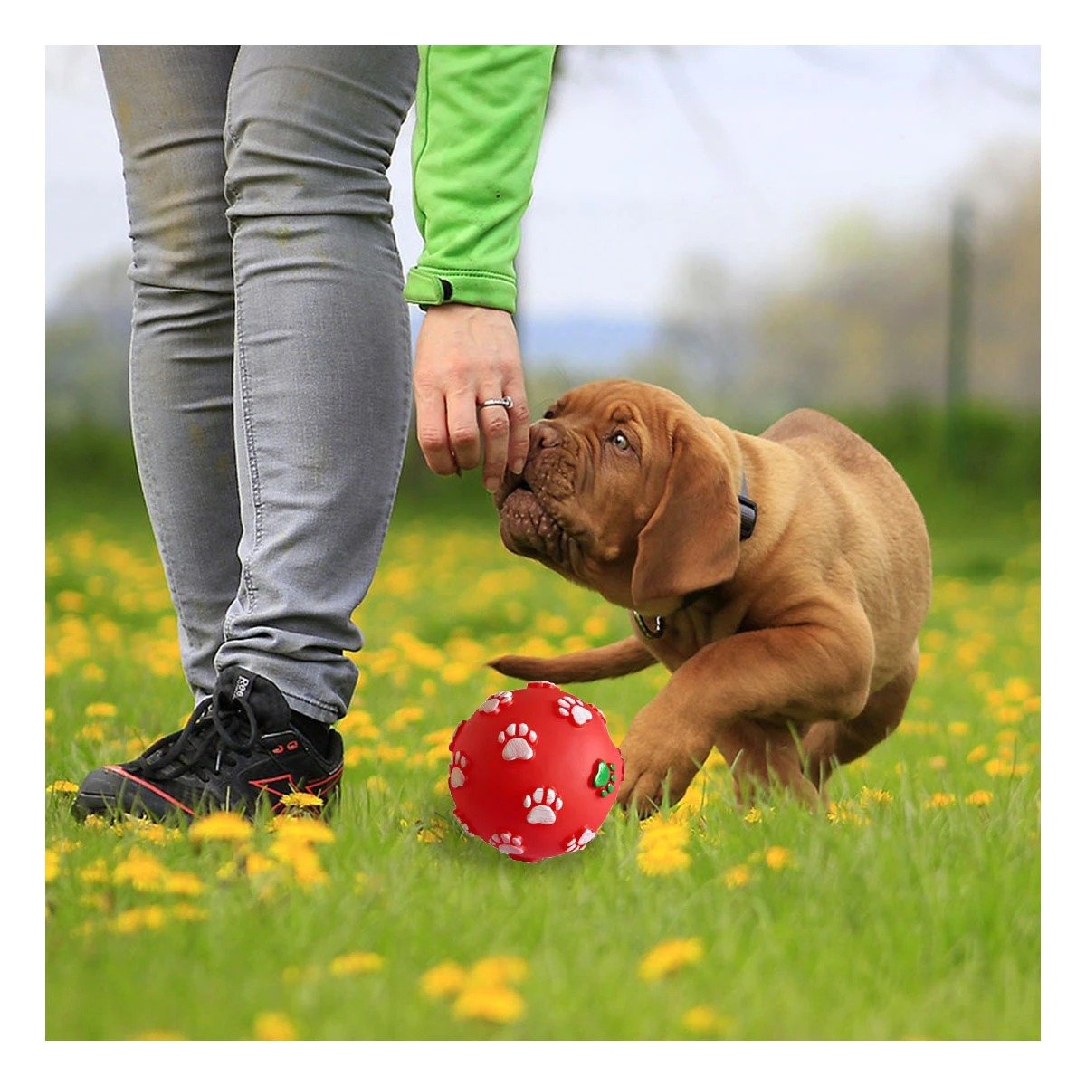 PELOTA DE COLOR ROJO CON HUELLAS DE COLORES PET DE MODELO MUY RESISTENTE - 2