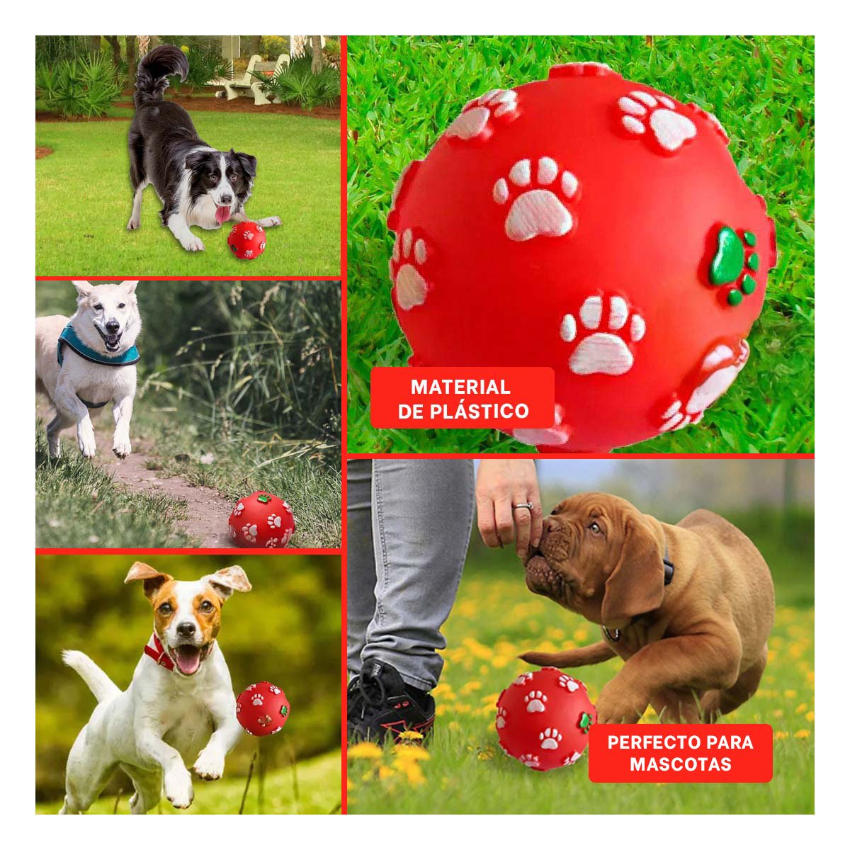 PELOTA DE COLOR ROJO CON HUELLAS DE COLORES PET DE MODELO MUY RESISTENTE - 5