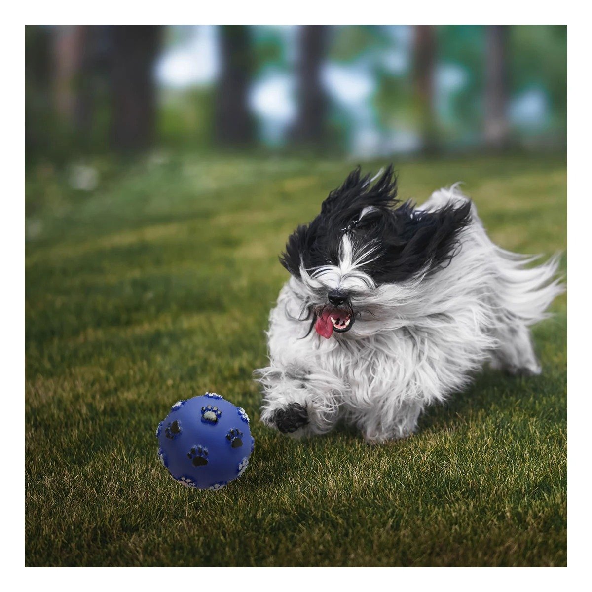 PELOTA DE COLOR AZUL CON HUELLAS DE COLORES PET DE MODELO MUY RESISTENTE - 2