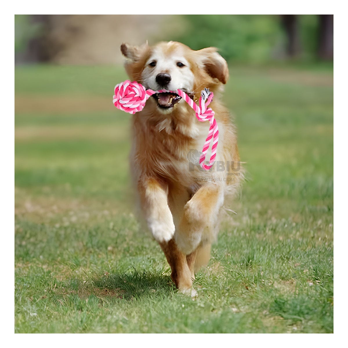 JUGUETE PERRO MA31346 LAVABLE ROSADO +PAPEL DE REGALO RYBIU - 1