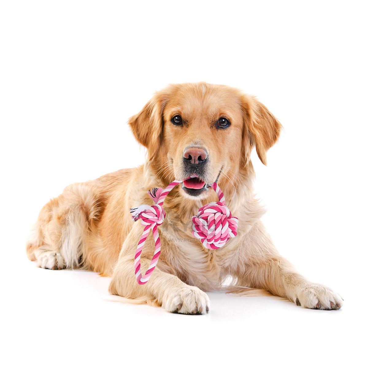 JUGUETE PERRO MA31346 LAVABLE ROSADO +PAPEL DE REGALO RYBIU - 2