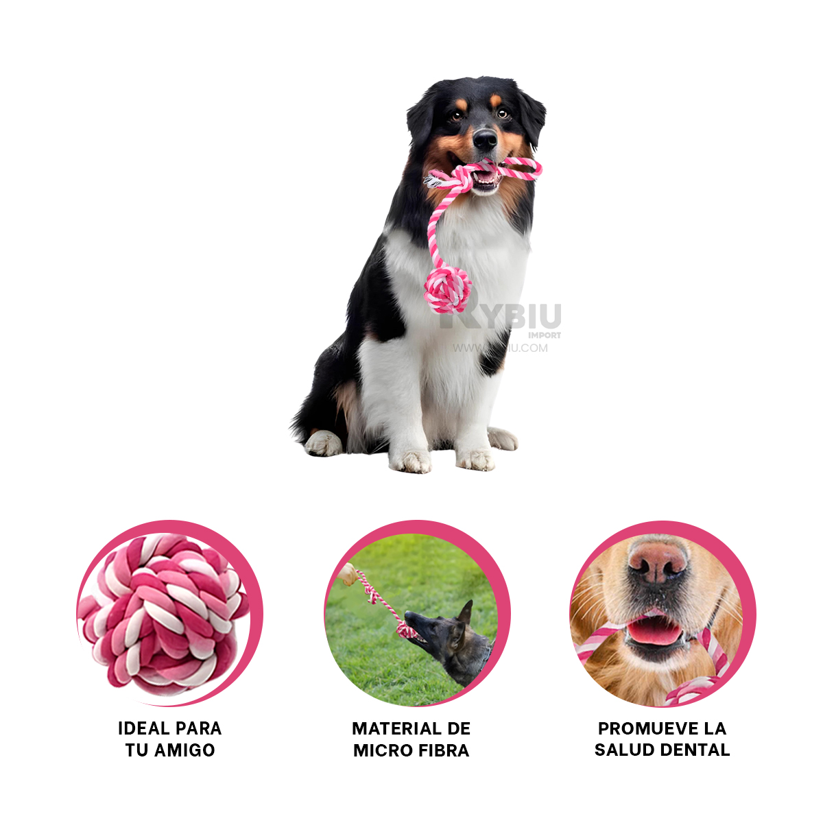 JUGUETE PERRO MA31346 LAVABLE ROSADO +PAPEL DE REGALO RYBIU - 4