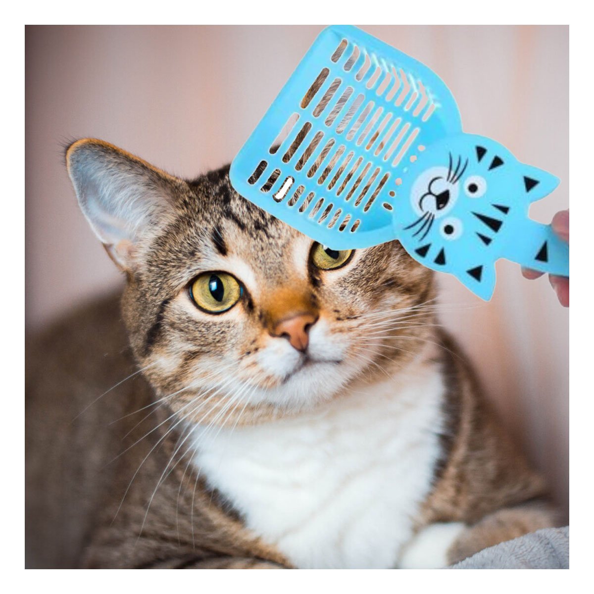ESPATULA RESISTENTE CARA DE GATO AZUL PARA JARDIN Y HOGAR FESTIVO Y+PAPEL REGALO - 5