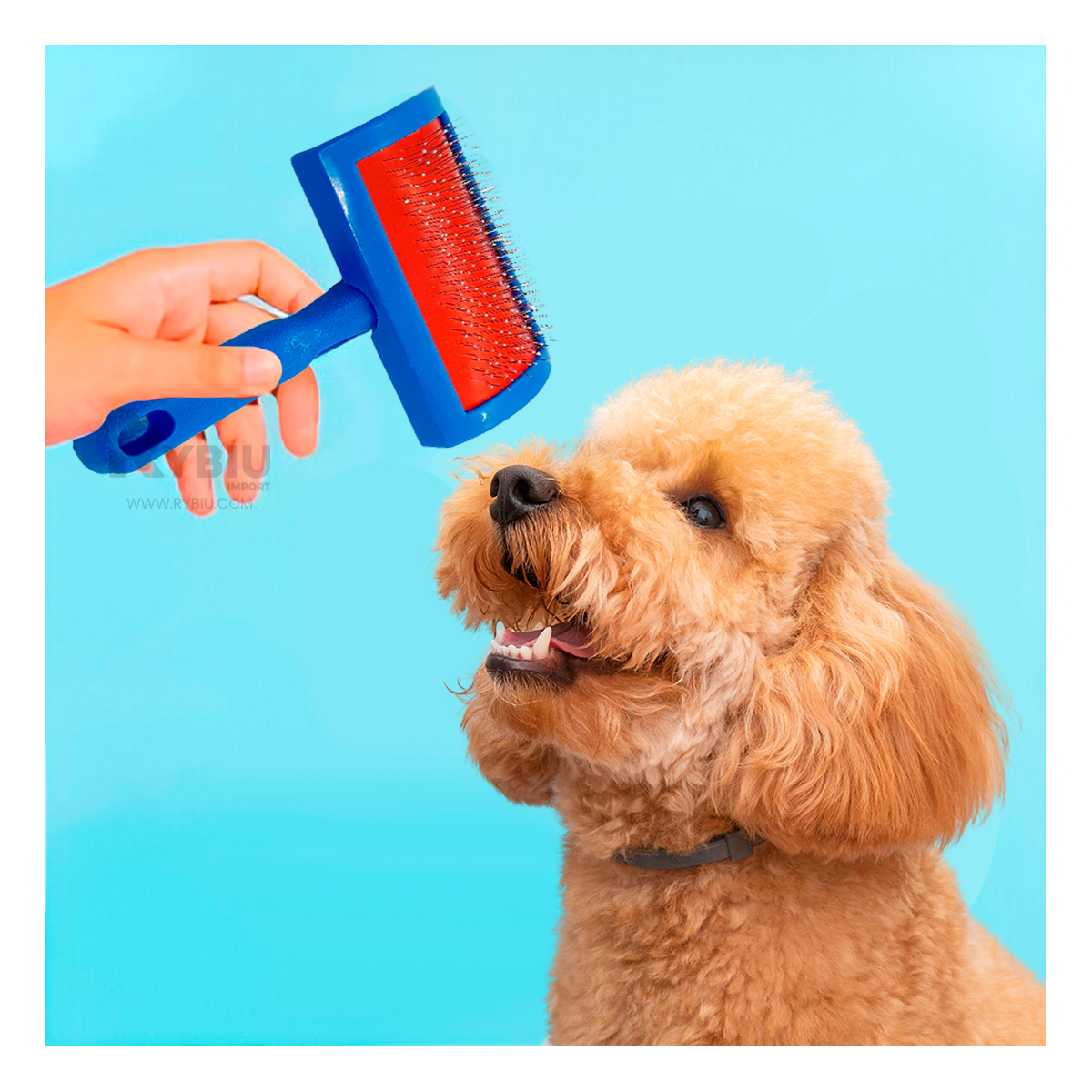 PEINE PERRO RYBIU MA31220 RECTANGULAR DE CEPILLO AGUJA AZUL - 6