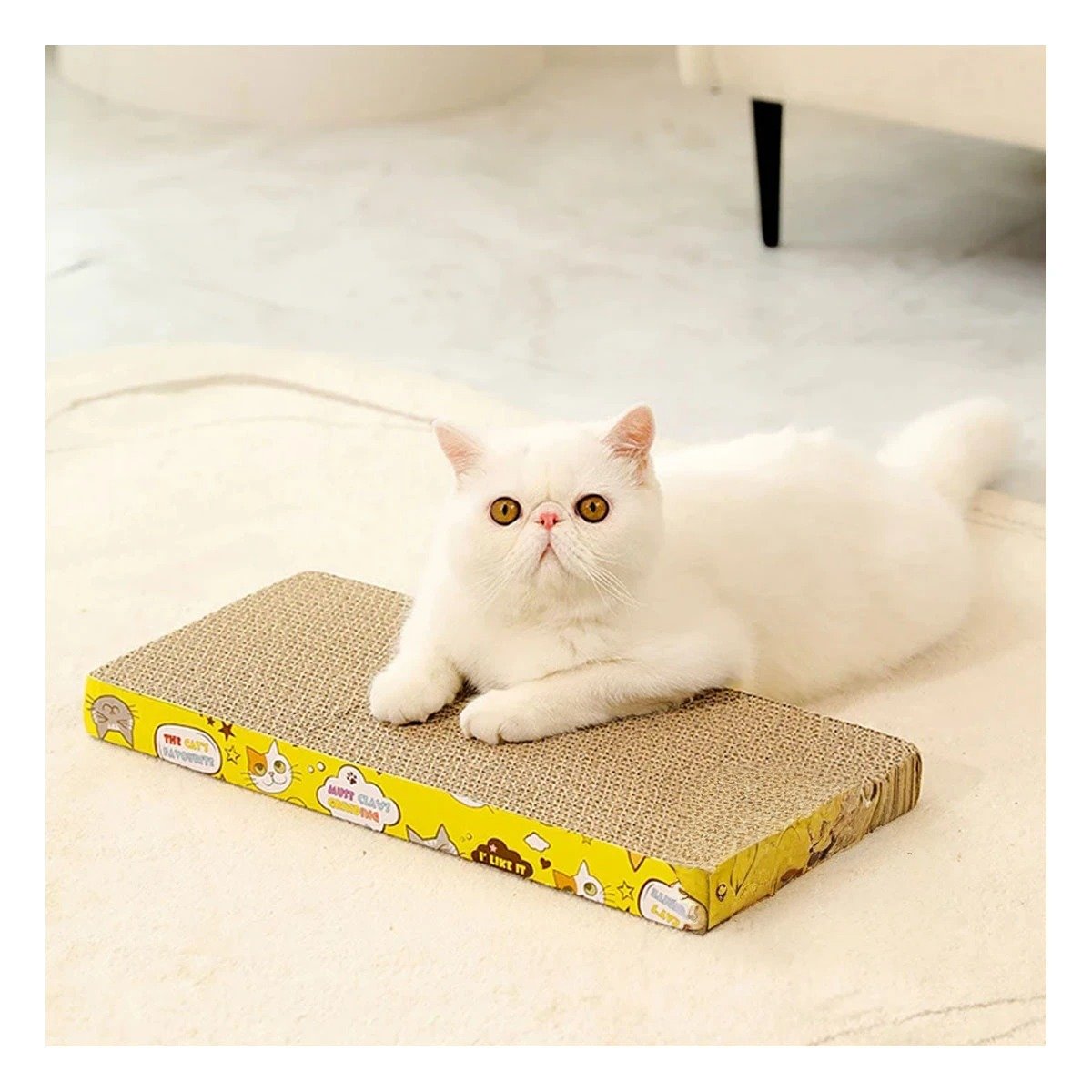 ARAÑADOR PLANO DE CARTON PARA GATOS USO DIARIO - 2