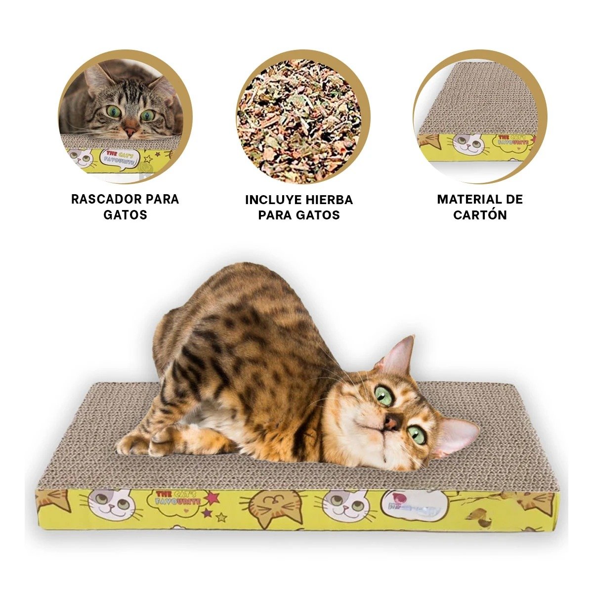 ARAÑADOR PLANO DE CARTON PARA GATOS USO DIARIO - 3