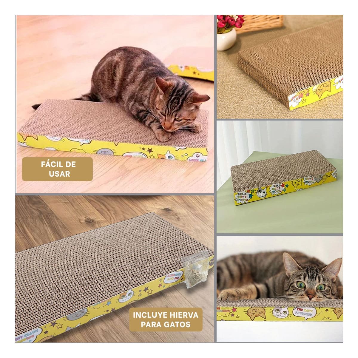 ARAÑADOR PLANO DE CARTON PARA GATOS USO DIARIO - 5