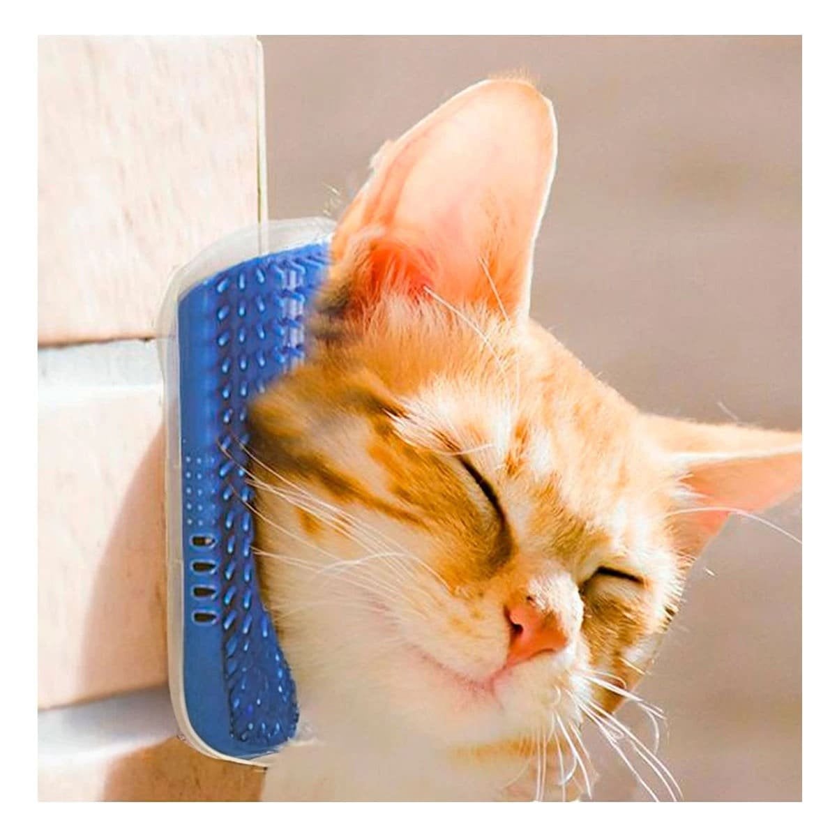 PLATAFORMA PARA GATOS ESQUINERO CON HIERBA AZUL CONFORT - 2