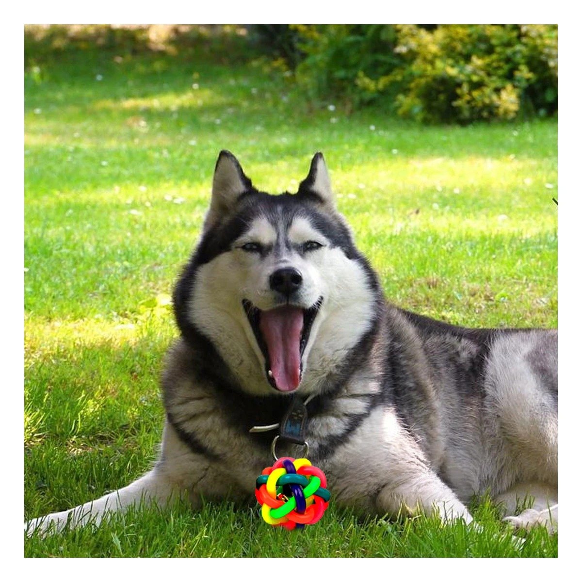 PELOTA TEJIDA CON CASCABEL PET 6CM MULTICOLOR RESISTENTE - 1