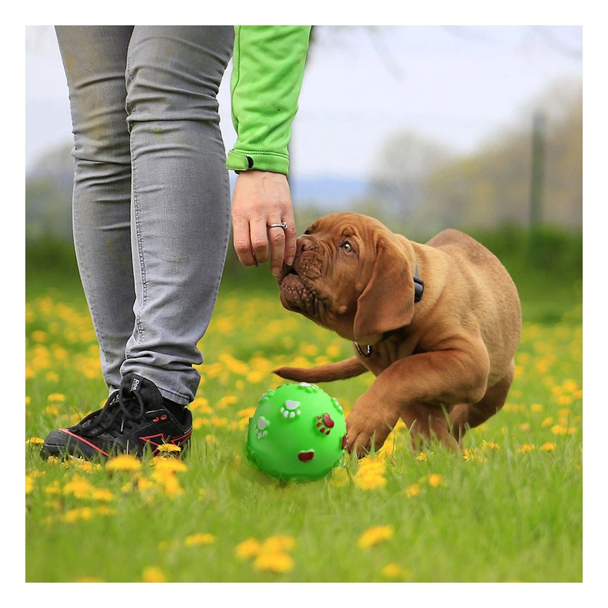 PELOTA DE COLOR VERDE CON HUELLAS DE COLORES PET DE MODELO MUY RESISTENTE - 1