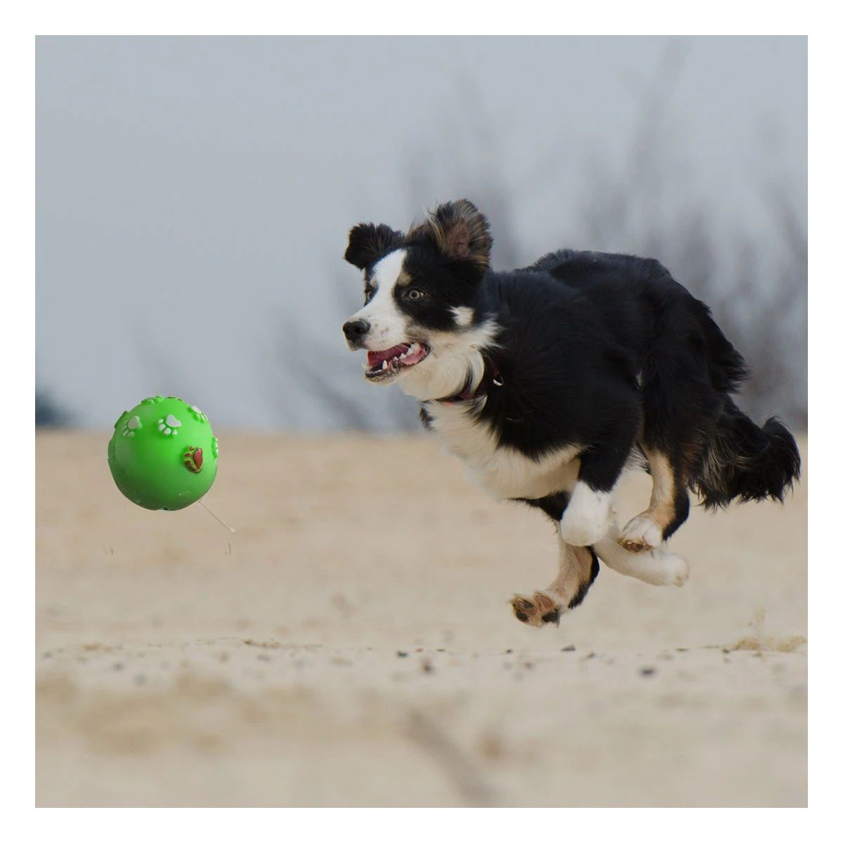 PELOTA DE COLOR VERDE CON HUELLAS DE COLORES PET DE MODELO MUY RESISTENTE - 2
