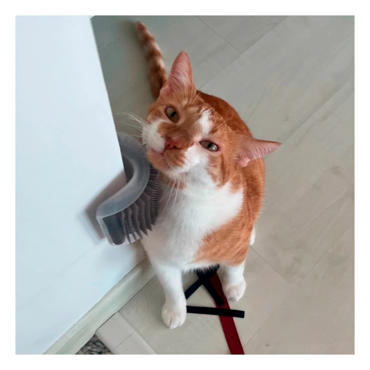 PLATAFORMA PARA GATOS ESQUINERO CON HIERBA PLOMO CONFORT - 1