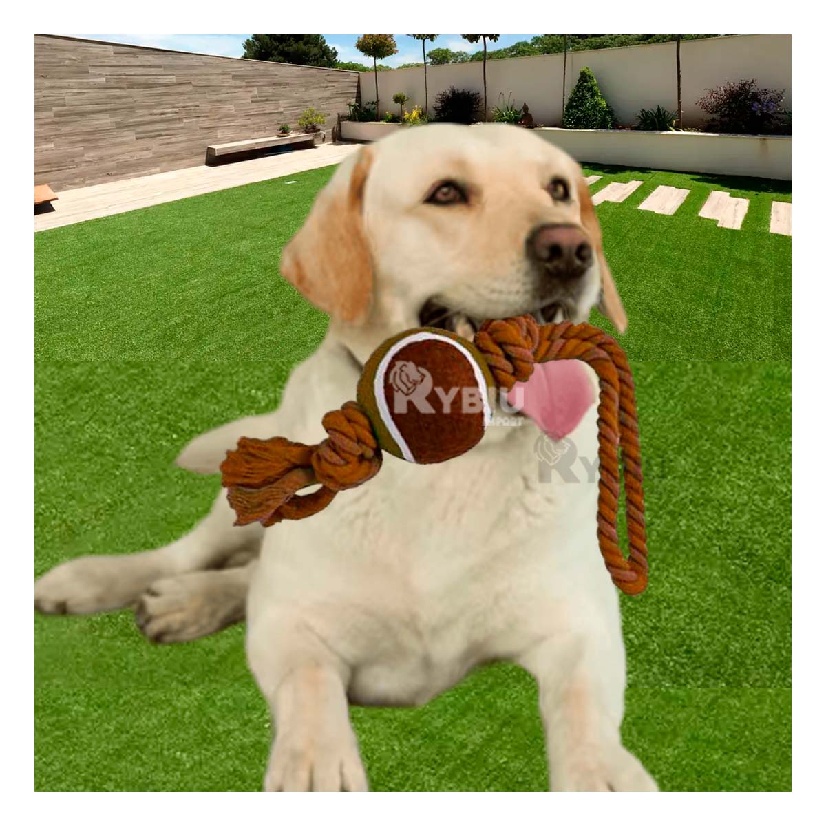 JUGUETE PERRO SOGA PARA MORDER NO TOXICA CON PELOTA TENNIS MARRÓN MA31356 RYBIU - 2