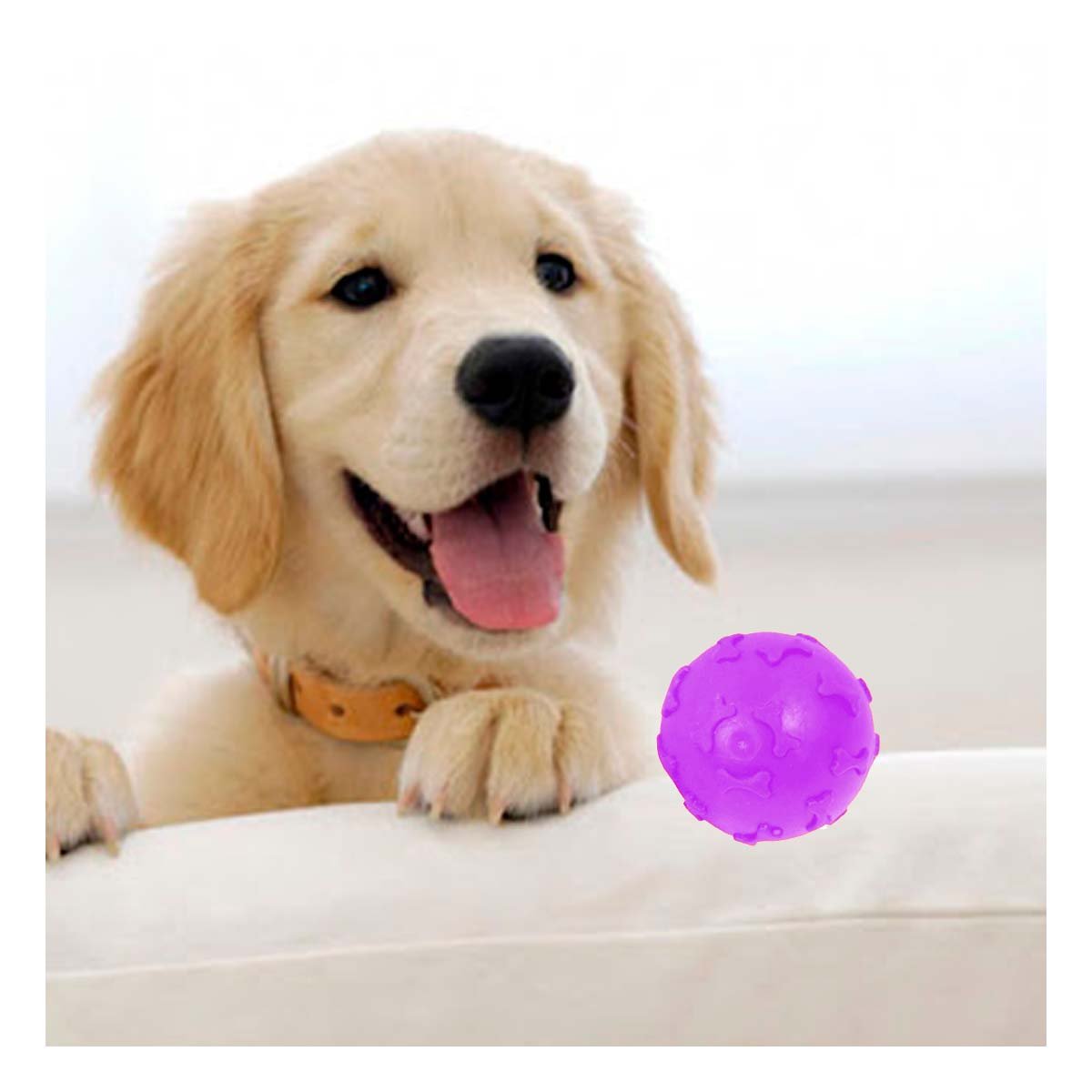 ARTICULO CON HUESOS PET COLOR MORADO PARA MASCOTAS EN HOGAR - 2