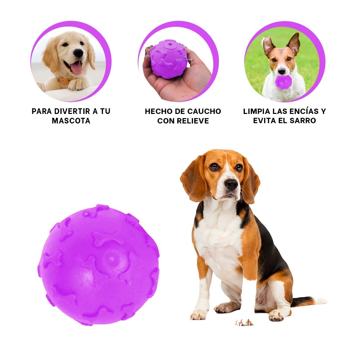 ARTICULO CON HUESOS PET COLOR MORADO PARA MASCOTAS EN HOGAR - 3