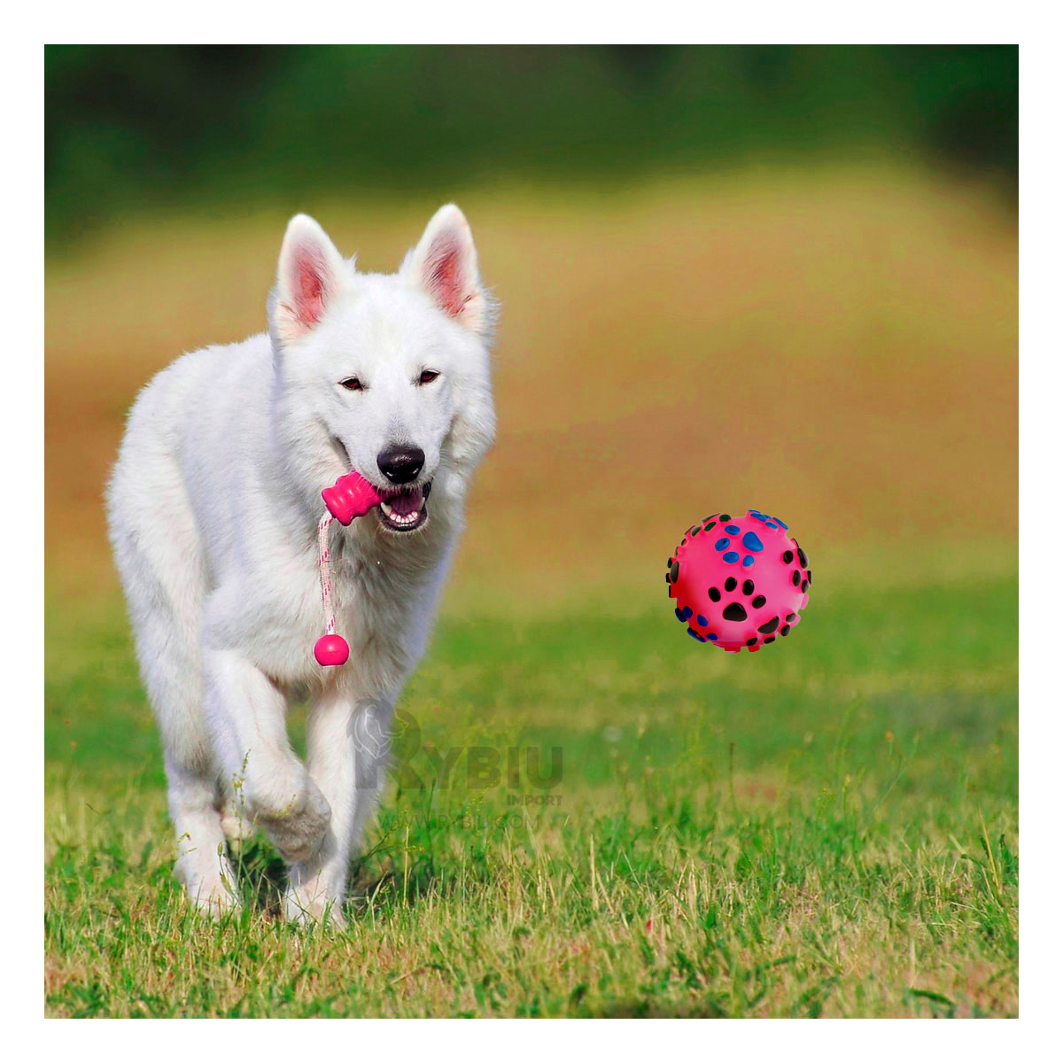 PELOTA CON HUELLITAS DE PLASTICO EN COLOR ROSADO - 1