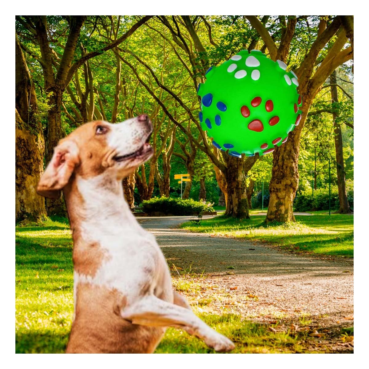 ARTICULO CON HUELLITAS DE PLASTICO M COLOR VERDE PARA MASCOTAS - 2