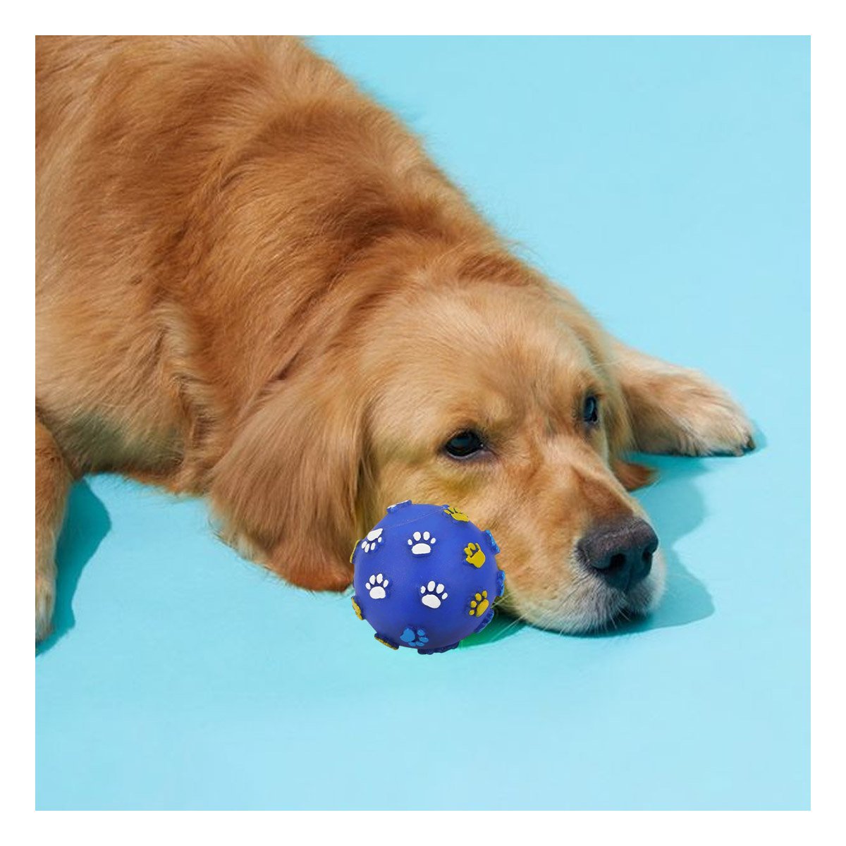 PELOTA AZUL CON HUELLITAS DE PLASTICO M PARA PERRO JUGUETE RESISTENTE - 2