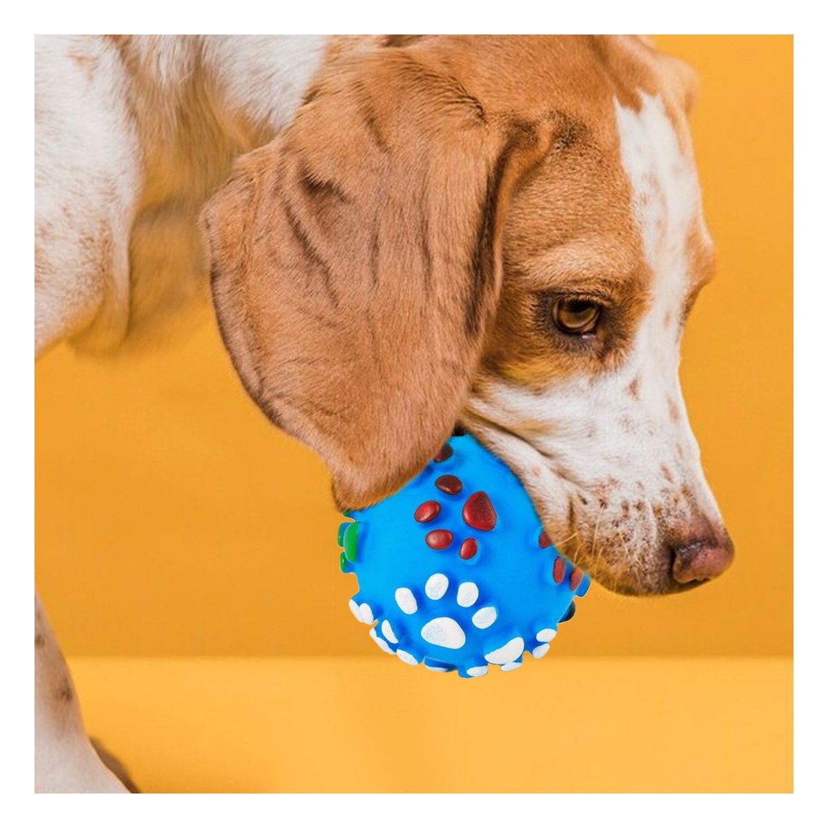 BOLA CELESTE CON HUELLITAS DE PLASTICO M PARA PERRO JUGUETE RESISTENTE - 1