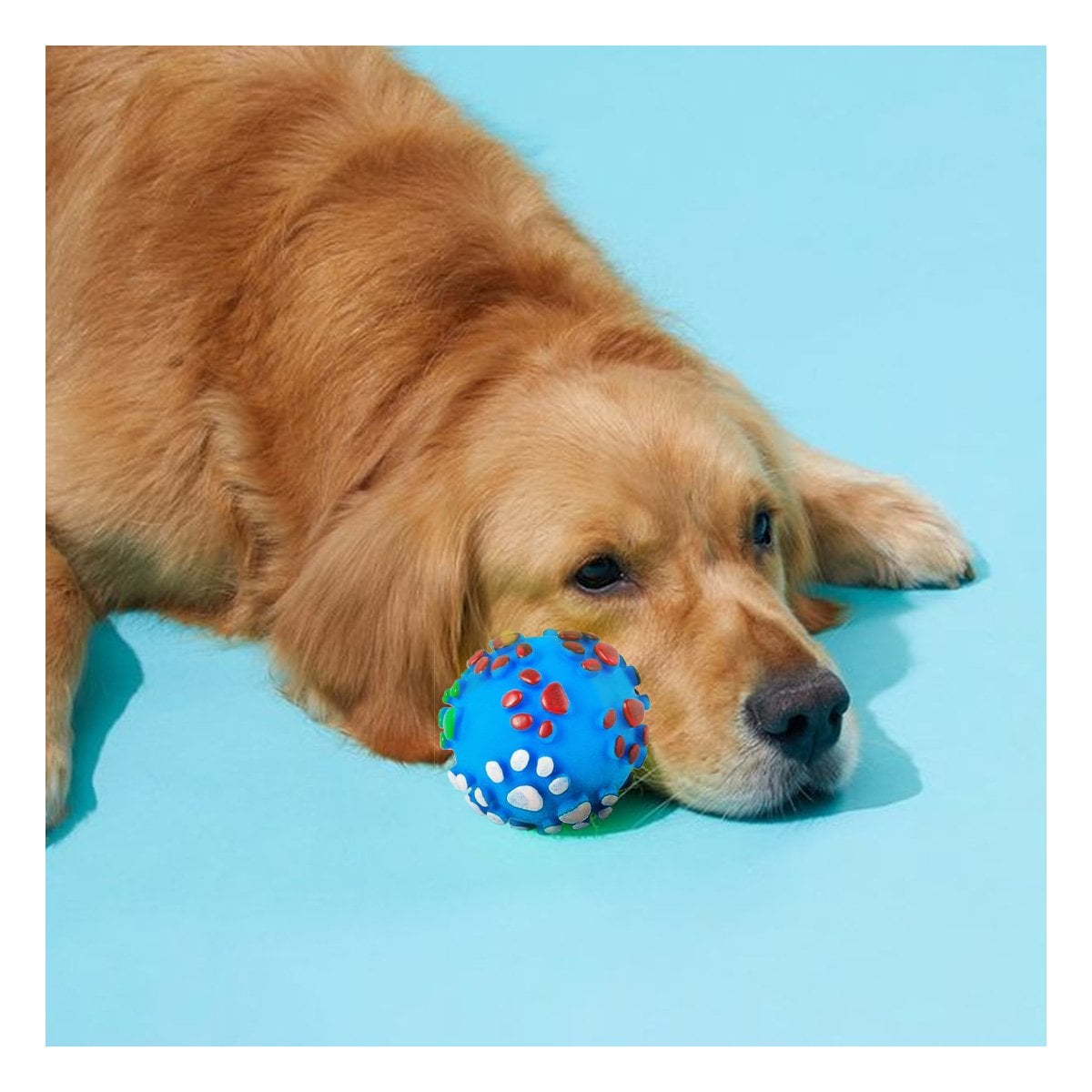 BOLA CELESTE CON HUELLITAS DE PLASTICO M PARA PERRO JUGUETE RESISTENTE - 2